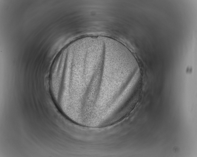 X0000090900002200708201728