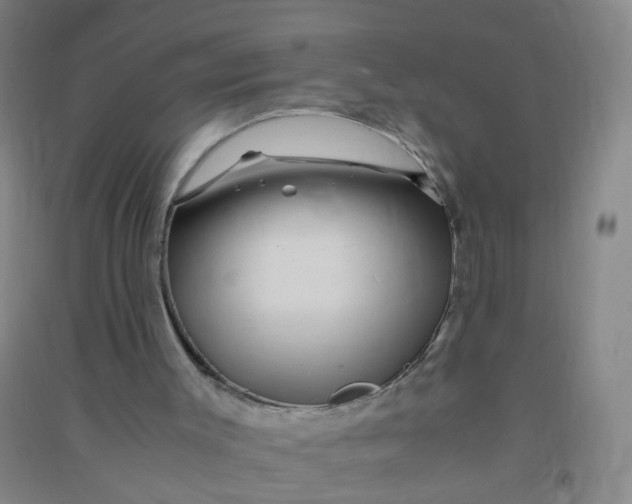 X0000090900003200708201728