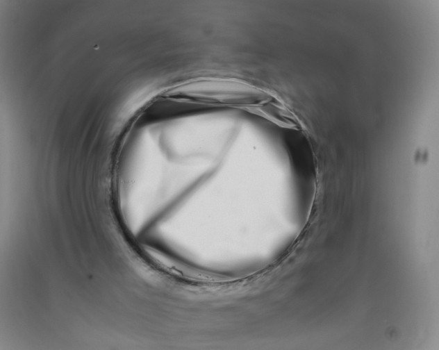 X0000090900005200708201728