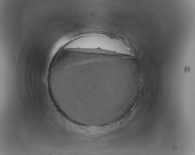 X0000090900006200708201728