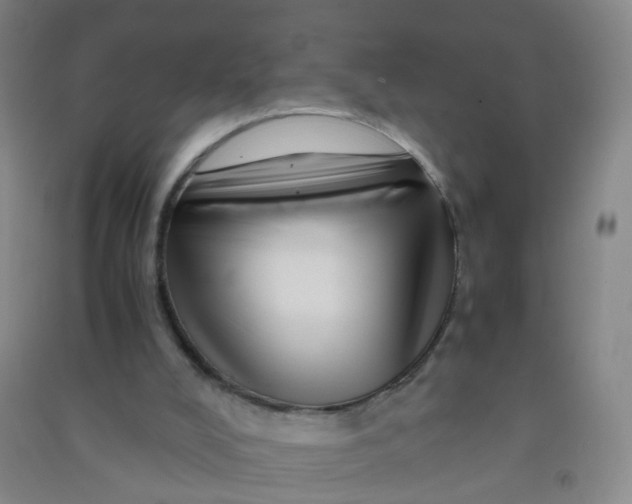 X0000090900008200708201728