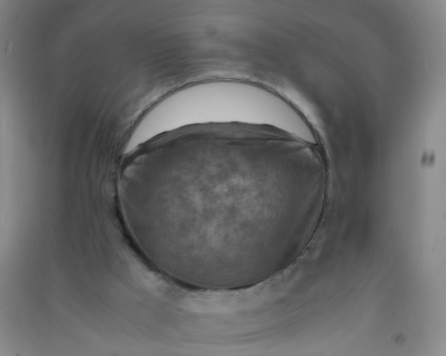 X0000090900009200708201728