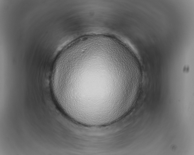 X0000090900010200708201728