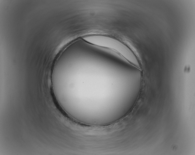 X0000090900011200708201728