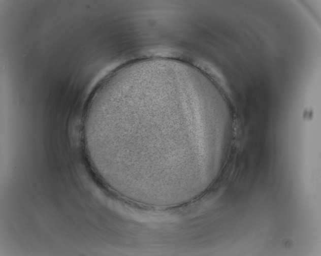 X0000090900012200708201728