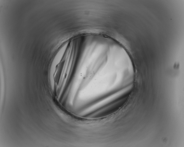 X0000090900013200708201728