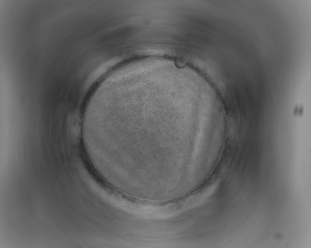 X0000090900016200708201728