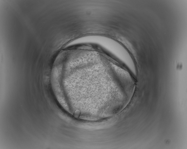 X0000090900017200708201728