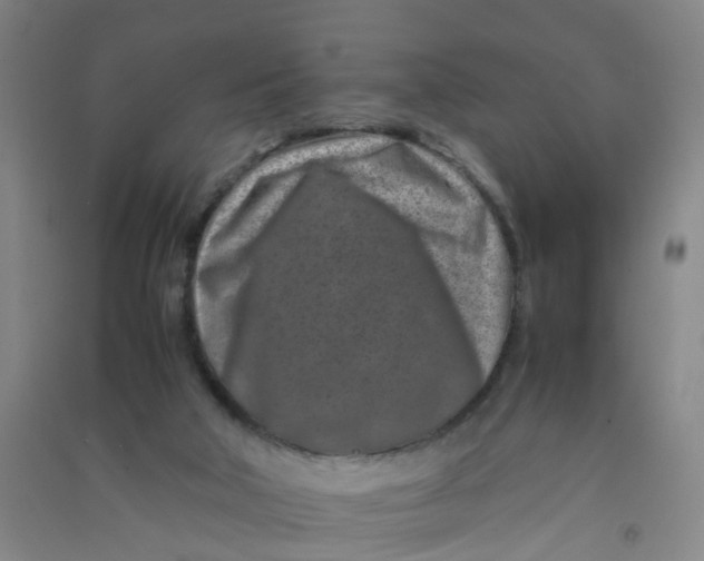 X0000090900018200708201728