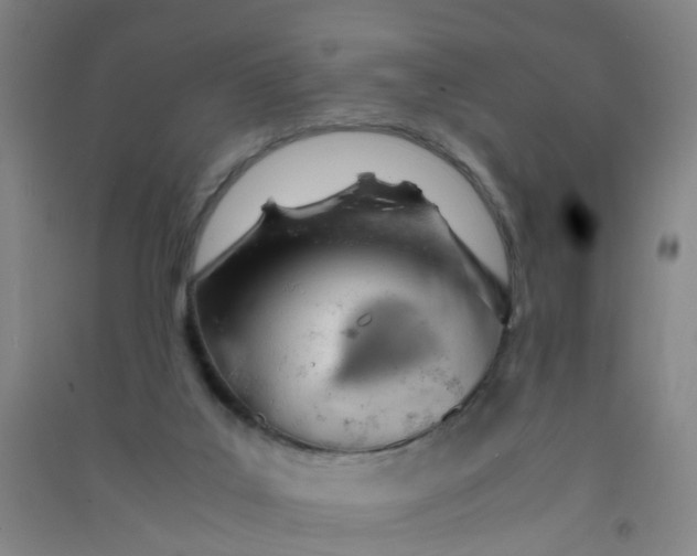 X0000090900019200708201728