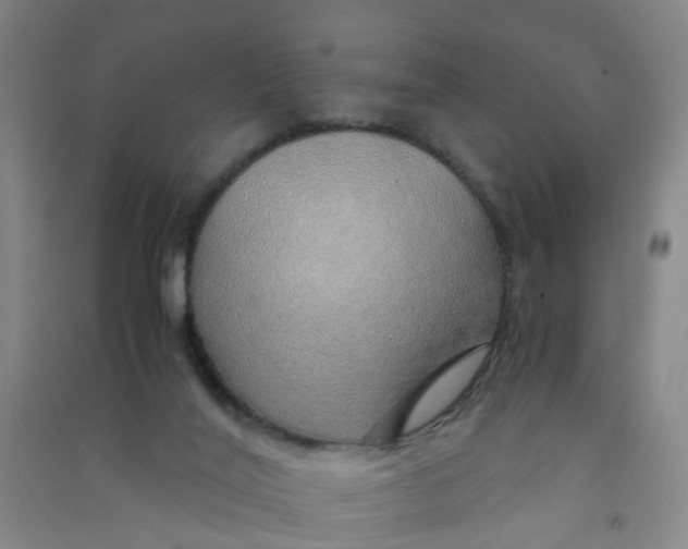 X0000090900020200708201728