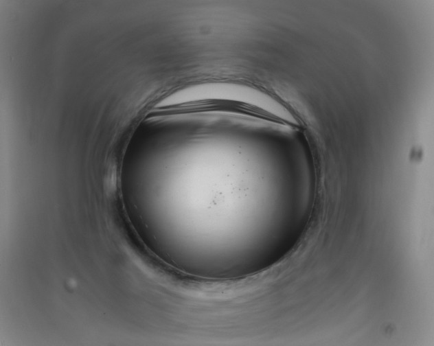 X0000090900021200708201728