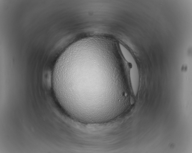 X0000090900022200708201728