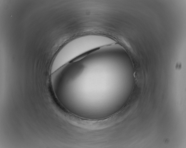 X0000090900023200708201728