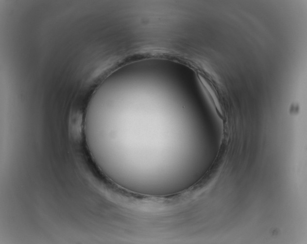 X0000090900024200708201728