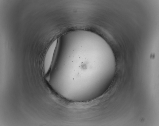 X0000090900025200708201728