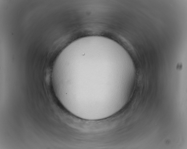 X0000090900026200708201728