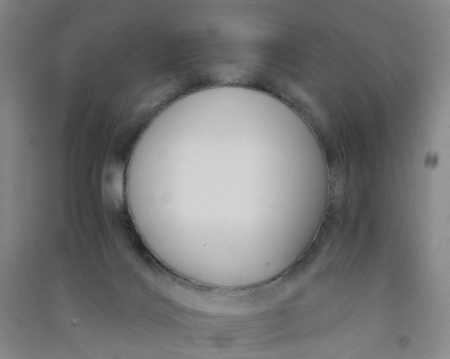 X0000090900028200708201728