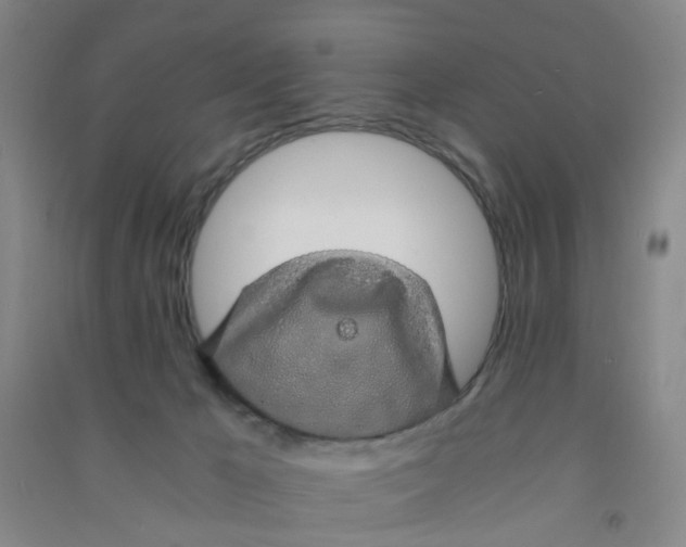 X0000090900029200708201728