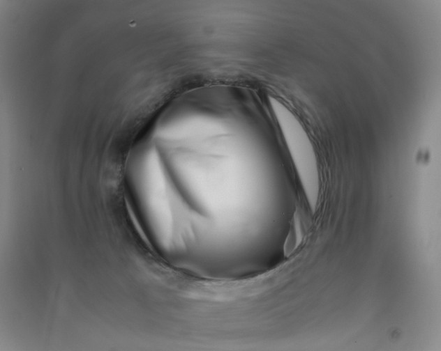 X0000090900033200708201728