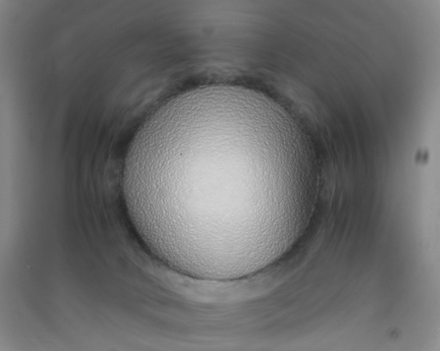 X0000090900034200708201728