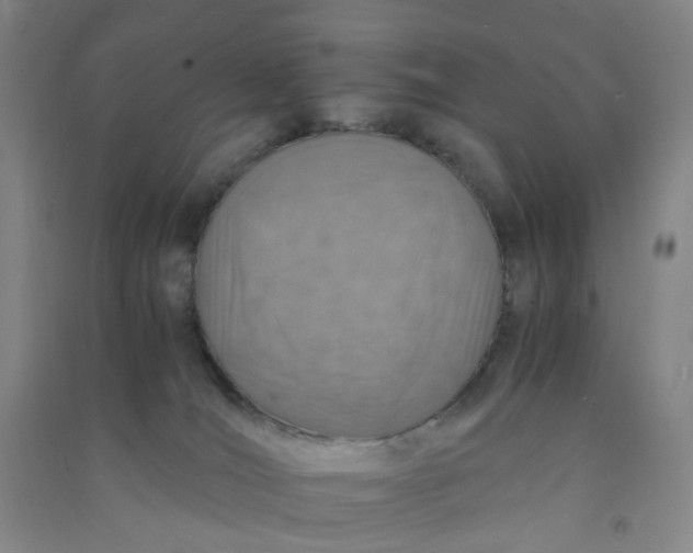 X0000090900036200708201728