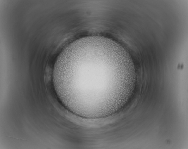 X0000090900038200708201728