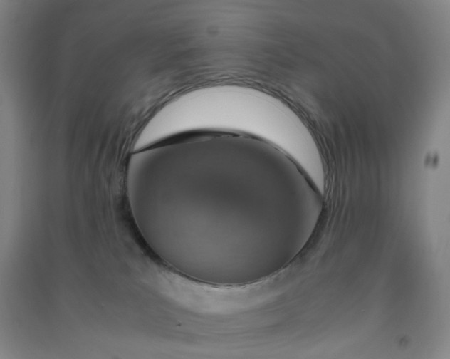 X0000090900039200708201728