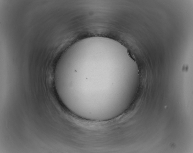 X0000090900040200708201728