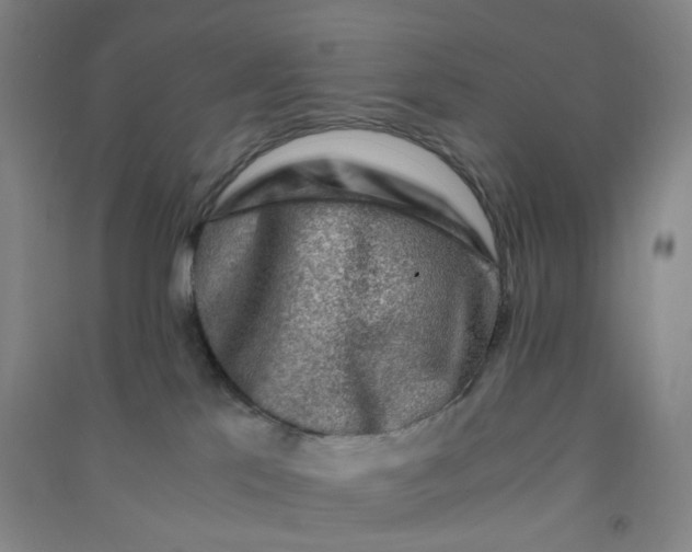 X0000090900041200708201728