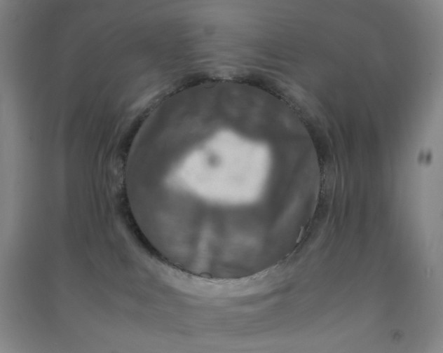 X0000090900043200708201728