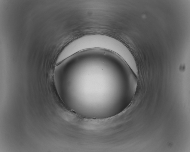 X0000090900045200708201728