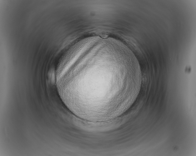 X0000090900046200708201728