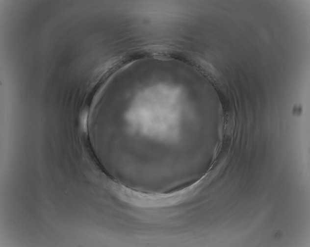 X0000090900047200708201728