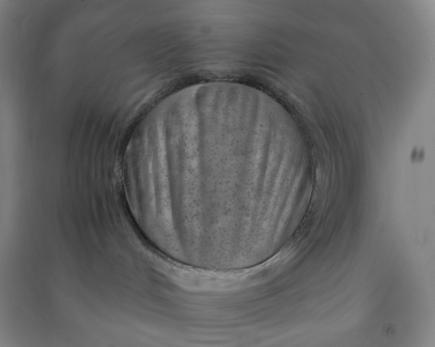 X0000090900048200708201728