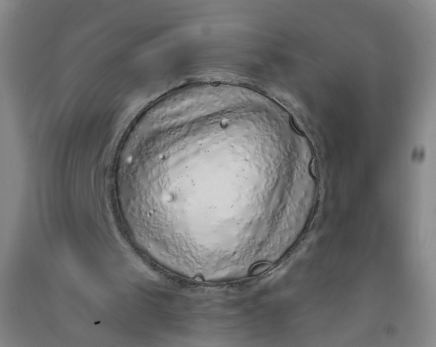 X0000090900049200708201727