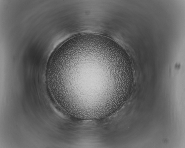 X0000090900050200708201727