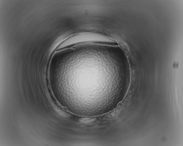 X0000090900051200708201727