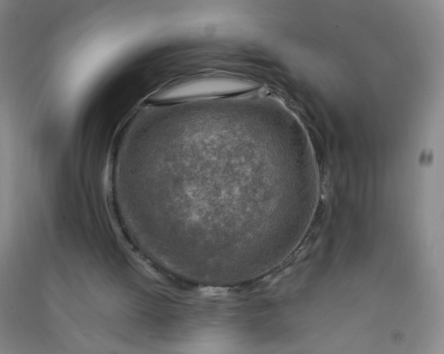 X0000090900052200708201727