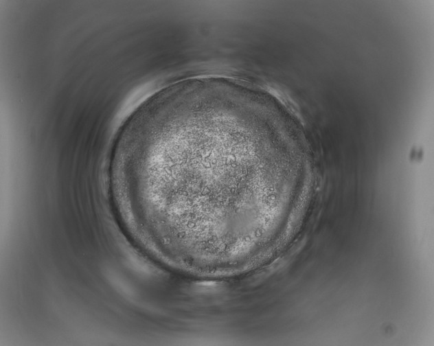 X0000090900053200708201727