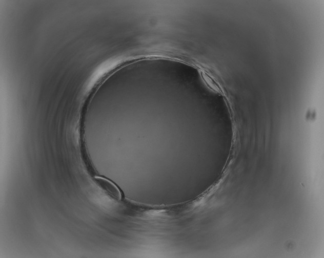 X0000090900054200708201727