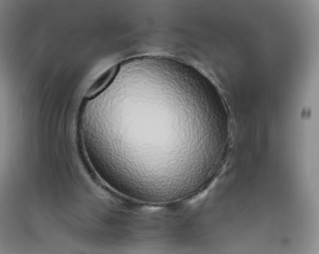 X0000090900055200708201727