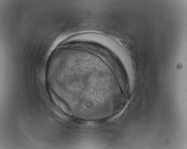 X0000090900056200708201727