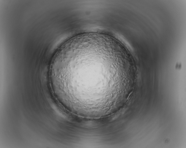 X0000090900058200708201727