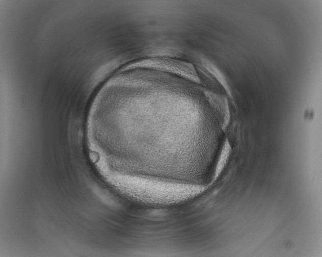 X0000090900059200708201727