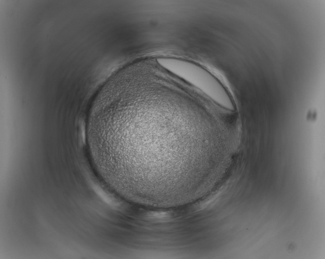 X0000090900061200708201727