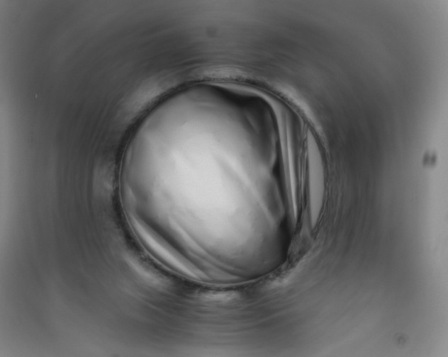 X0000090900063200708201727