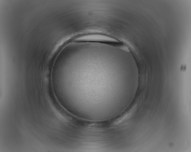 X0000090900064200708201727