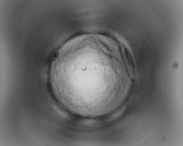 X0000090900065200708201727