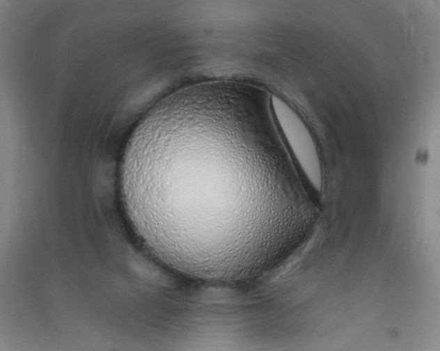 X0000090900066200708201727